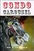 Condo carousel by Roy P. Fairfield