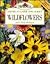 Wildflowers (Burpee American Gardening Series)