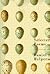 Selected Poems by Daniel Halpern