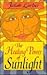 The Healing Power of Sunlight by Jakob Lorber