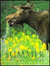 Summer (Hardcover)