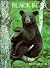Black Bear