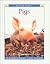 Pigs (Wonder Books Level 2 Farm Animals)