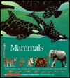 Mammals: Whales, Panthers, Rats, and Bats : The Characteristics of Mammals from Around the World (Voyages of Discovery)