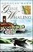 Gone Whaling: A Search for Orcas in Northwest Waters