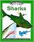 Sharks (Fascinating Facts About)