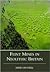 Flint Mines in Neolithic Britain by Miles Russell
