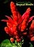 The Hawai'i Garden: Tropica...