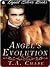 Angel's Evolution