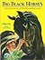 Big Black Horse (Picture Book)