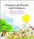 Wonders of Plants and Flowers (Learn-About Books)