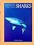 Sharks (Sierra Club Wildlife Library)