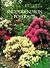 Rhododendron Portraits
