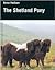 The Shetland Pony (Allen Breed Series)