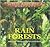 Temperate Rain Forests by Melissa S. Cole