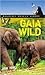 Gaia Wild (Jane Ray's Wildl...