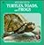 Turtles, Toads and Frogs