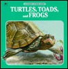 Turtles, Toads and Frogs (Paperback)