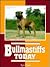 Bullmastiffs Today