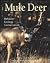 Mule Deer: Behavior, Ecolog...