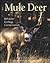 Mule Deer: Behavior, Ecology, Conservation