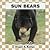 Sun Bears