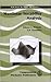 Nonlinear Instability Analysis (Advances in Fluid Mechanics)