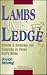 Lambs on the Ledge: Seeing & Avoiding the Dangers in Spiritual Leadership