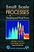 Small Scale Processes in Geophysical Fluid Flows (International Geophysics)