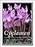 Cyclamen by Christopher Grey-Wilson