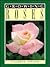 Growing Roses