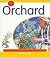 At the Orchard (Field Trips)