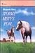 Stormy, Misty's Foal