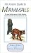 An Instant Guide to Mammals