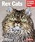 Rex Cats by J. Anne Helgren
