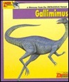 Looking At...Gallimimus: A Dinosaur from the Cretaceous Period