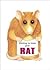 Getting to Know Your Rat