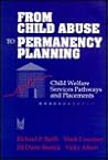 From Child Abuse to Permanency Planning: Child Welfare Services Pathways and Placements (Modern Applications of Social Work Series)
