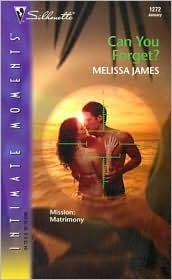 Can You Forget? : Nighthawk (Silhouette Intimate Moments No. 1272)