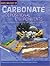 Carbonate Depositional Environments (Aapg Memoir)