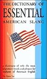 The Dictionary of Essential American Slang