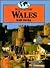 Wales (World in View)