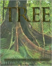 The Tree: Wonder of the Natural World (Hardcover)