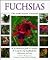 Fuchsias (The New Plant Library)