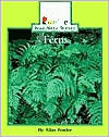 Ferns