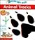 Animal Tracks