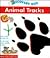 Animal Tracks (Discovery Box)
