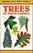 Spotter's Guide to Trees of North America by Alan F. Mitchell