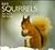 Red Squirrels
