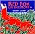 Red Fox on the Move by Quarto Generic